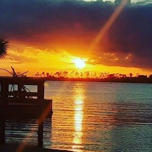 Meet your Posher, Donald